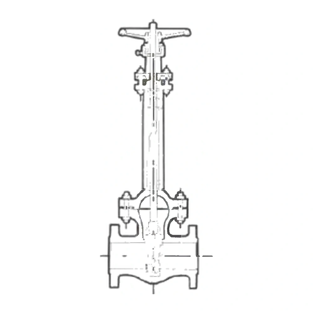 Extended-bonnet cryogenic gate valve